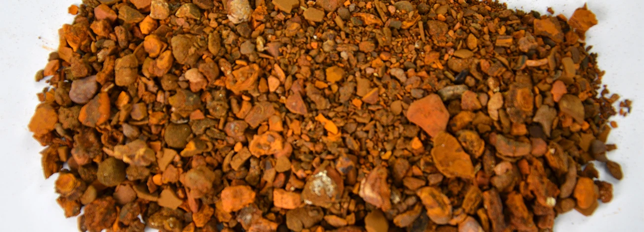 cow gallstones cow gallstones
